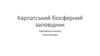 Карпатський біосферний заповідник