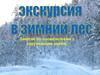 Экскурсия в зимний лес