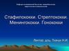 Стафилококки. Стрептококки. Менингококки. Гонококки