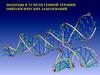 Подходы и успехи генной терапии онкологических заболеваний. (Лекция 8)
