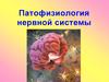 Патофизиология нервной системы