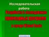 Использование среды Visual Basic для создания прикладных программ