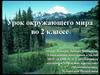 Урок окружающего мира во 2 классе
