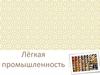 Легкая промышленнность