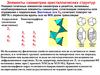 Элементы симметрии кристаллических структур