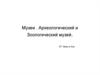 Музеи. Археологический и зоологический музей