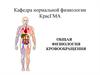Общая физиология кровообращения. Функции системы кровообращения