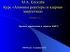 Курс «Атомные реакторы и ядерная энергетика». Лекция 12. Органы управления и защиты ИБР-2