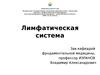 Лимфатическая система