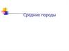 Средние породы