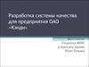 Разработка системы качества для предприятия