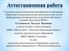 Аттестационная работа. Программа дополнительного образования туристскокраеведческой направленности «Моя родная Балашиха»