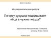 Почему кукушка подкидывает свои яйца в чужие гнезда