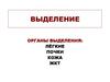 Органы выделения