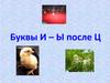 Буквы и-ы после ц в корне слова