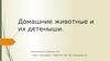 Домашние животные и их детеныши