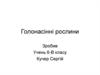 Голонасінні рослини