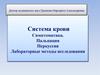 Система крови. Симптоматика. Пальпация