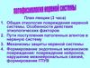 Патофизиология нервной системы. Механизмы защиты нервной системы