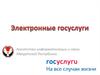 Электронные госуслуги