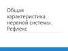 Общая характеристика нервной системы. Рефлекс