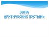 Зона арктических пустынь