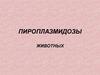Пироплазмидозы животных
