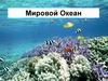 Общие сведения о Мировом океане
