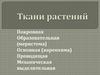 Ткани растений