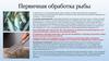 Первичная обработка рыбы
