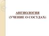 Ангиология ( учение о сосудах)