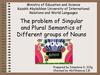The problem of Singular and Plural Semantics of Different groups of Nouns
