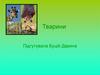 Тварини. Характерні особливості тварин