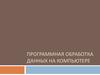 Программная обработка данных на компьютере