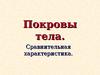 Покровы тела. Сравнительная характеристика
