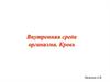 Внутренняя среда организма. Кровь, тканевая жидкость и лимфа