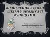 Визначення будови шкіри у зв’язку з її функціями