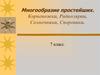Многообразие простейших. Корненожки, Радиолярии, Солнечники, Споровики
