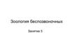 Зоология беспозвоночных