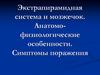 Экстрапирамидная система и мозжечок. Анатомо-физиологические особенности. Симптомы поражения