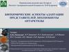 Биохимические аспекты адаптации представителей лихенобиоты Антарктиды