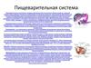 Пищеварительная система