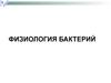 Физиология бактерий