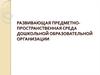 Развивающая предметно-пространственная среда дошкольной образовательной организации