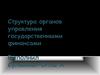Структура органов управления государственными финансами