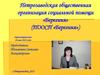 Петрозаводская общественная организация социальной помощи «Берегиня»
