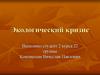 Экологический кризис
