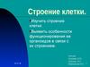 Клетка. Строение клетки