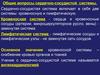 Сердечно-сосудистая система. Кровеносная и лимфатическая системы