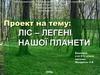 Проект на тему: ліс – легені нашої планети